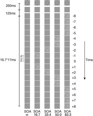 Temporal Characteristics of Visual Processing in Amblyopia